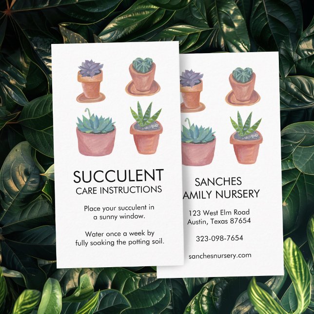 Tarjeta De Visita Instrucciones para el cuidado de plantas Hogar Suc (Plant Care Instructions Houseplant Succulent Cacti Business Card
)
