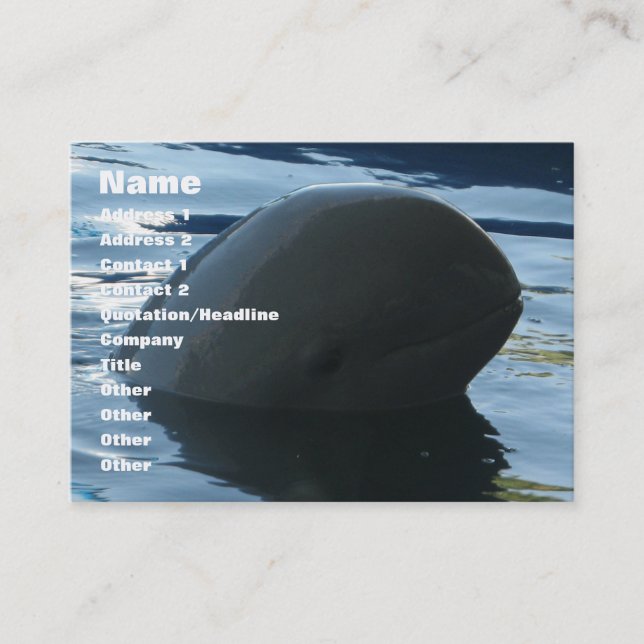 Tarjeta De Visita Irrawaddy Dolphin Peek-A-Boo (Anverso)