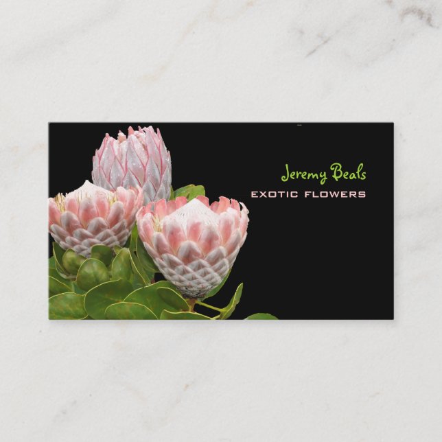 Tarjeta De Visita Itah de PixDezines maui protea (30%) (3,4%) (3,3%) (Anverso)
