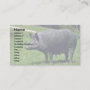 Tarjeta De Visita Jabalí