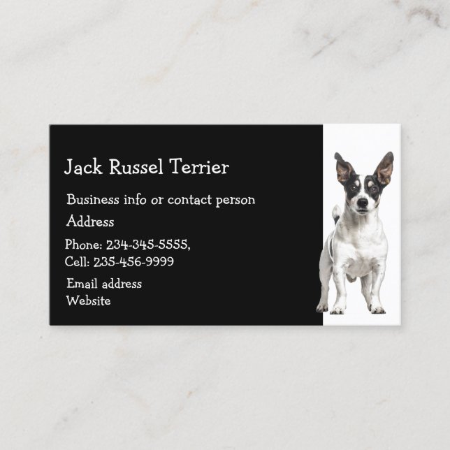 Tarjeta De Visita Jack Russel Terrier Dog Breeder Mascota Sitter (Anverso)
