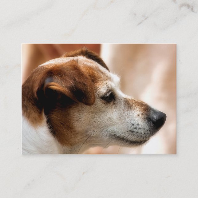 TARJETA DE VISITA JACK RUSSELL TERRIER DOG (Anverso)