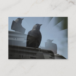 Tarjeta de visita Jackdaw Bird