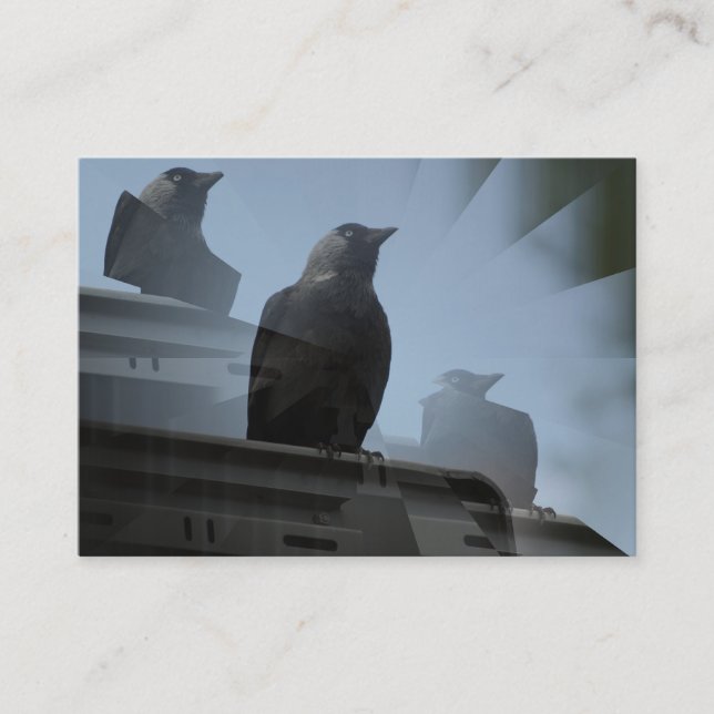 Tarjeta de visita Jackdaw Bird (Anverso)