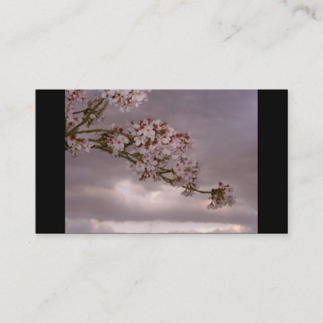 Tarjeta de visita japonesa (Anverso)