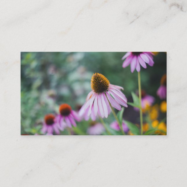 Tarjeta De Visita Jardín rosado de Coneflower (Anverso)