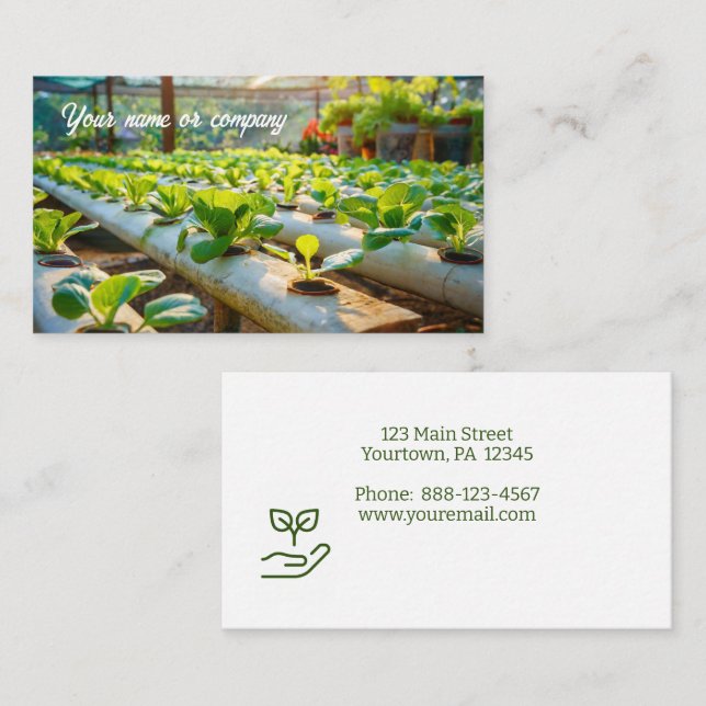 Tarjeta De Visita Jardinería hidropónica (Anverso / Reverso)