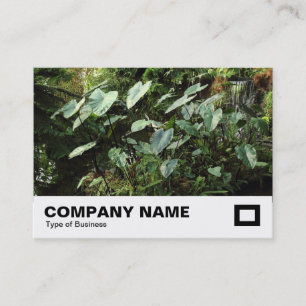 Tarjeta De Visita Jardines botánicos