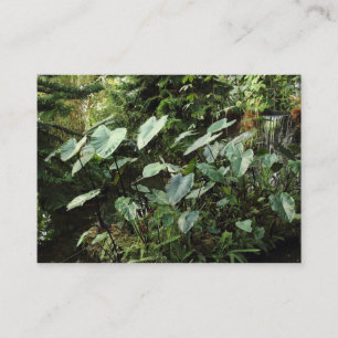 Tarjeta De Visita Jardines botánicos