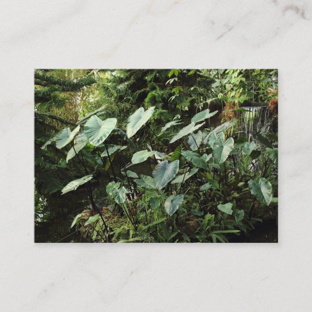 Tarjeta De Visita Jardines botánicos (Anverso)