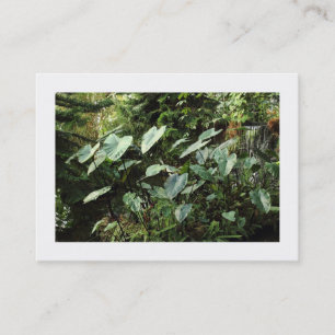 Tarjeta De Visita Jardines botánicos (bordeados)