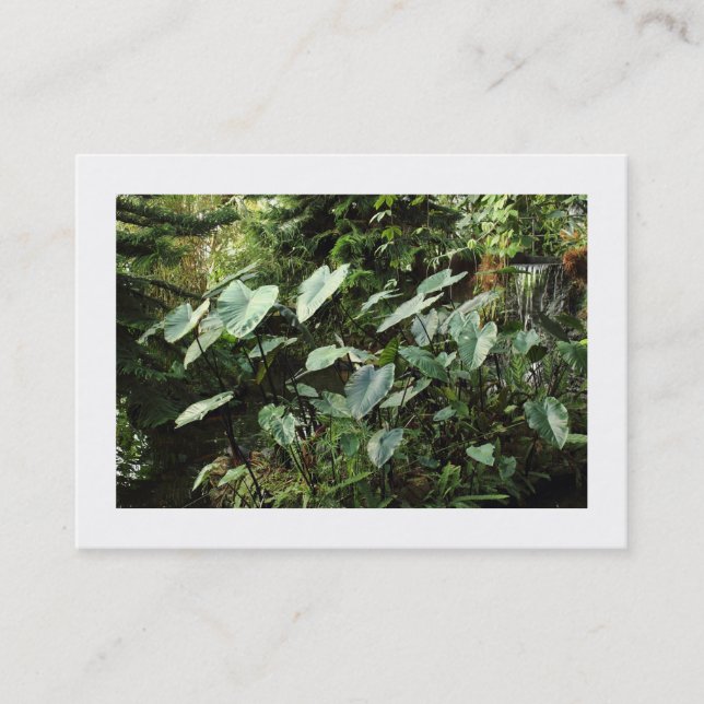 Tarjeta De Visita Jardines botánicos (bordeados) (Anverso)