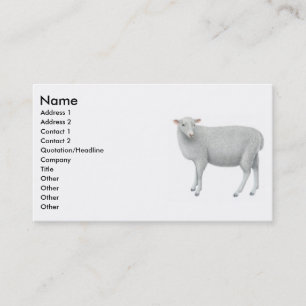 Tarjeta de visita joven de Sheepp