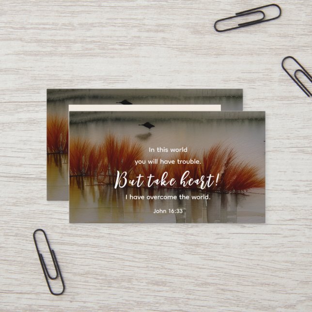Tarjeta De Visita Juan 16:33 He superado la biblia contra el cristia (Anverso/Reverso In Situ)