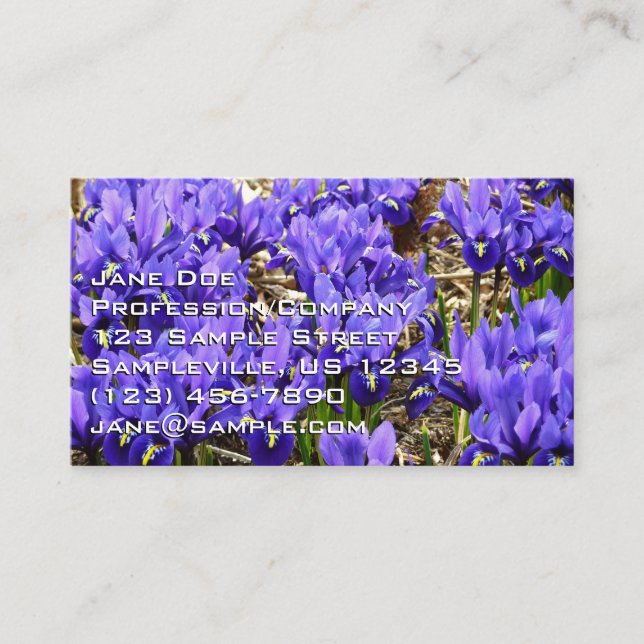 Tarjeta De Visita Katherine Hodgkin Iris Purple Spring Floral (Anverso)