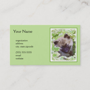Tarjeta De Visita Keeshond Puppy en el jardín pintando arte original