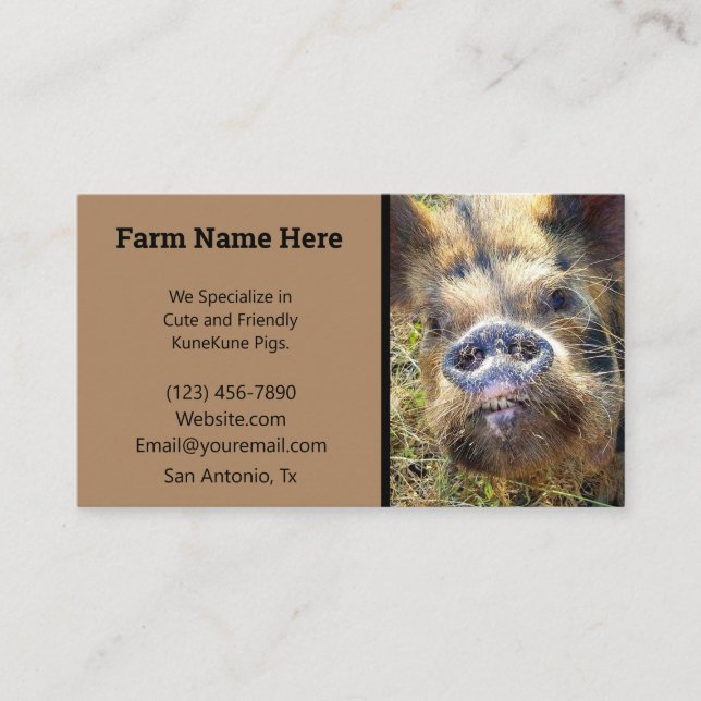 Tarjeta De Visita Kune Kune Pig Breeder (Anverso)