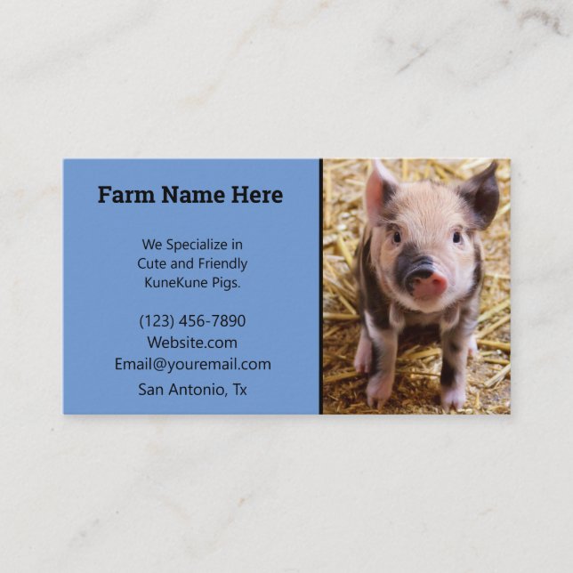 Tarjeta De Visita Kune Kune Pig Breeder (Anverso)