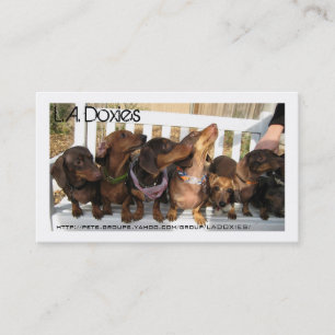 Tarjeta De Visita L.A.Doxies [Rufus]