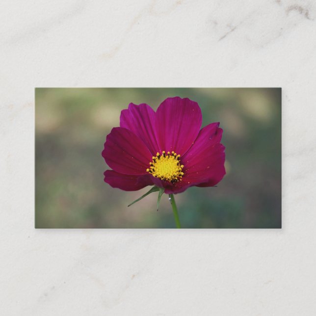 Tarjeta De Visita La flor perfecta de la hermana (Anverso)