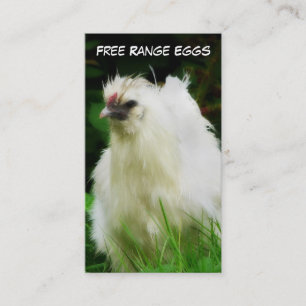 Tarjeta De Visita La gama libre Eggs capa o el pájaro de las aves d