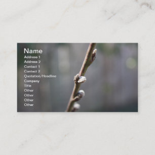 Tarjeta De Visita La primavera está por llegar
