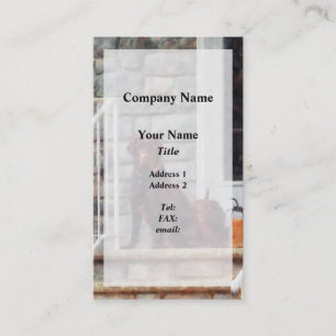 Tarjeta De Visita Labrador de chocolate en Porch