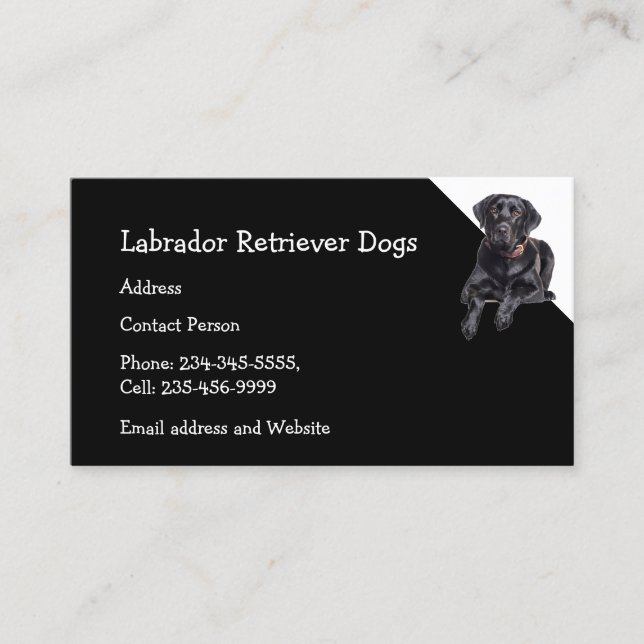 Tarjeta De Visita Labrador Recuperador Perros Mascota Sitter (Anverso)
