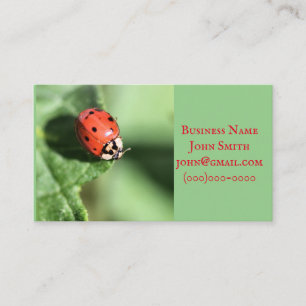 Tarjeta De Visita Lady bug