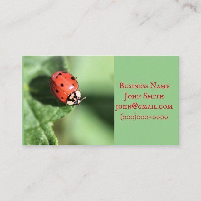 Tarjeta De Visita Lady bug (Anverso)