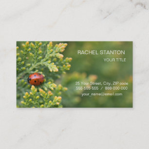Tarjeta De Visita Ladybug