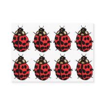 Ladybug Red Black Insect Ladybug