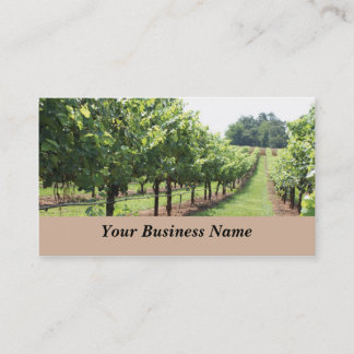 Tarjeta De Visita Lagar y viñedo