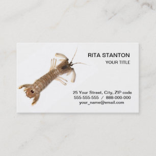 Tarjeta De Visita Langoustina
