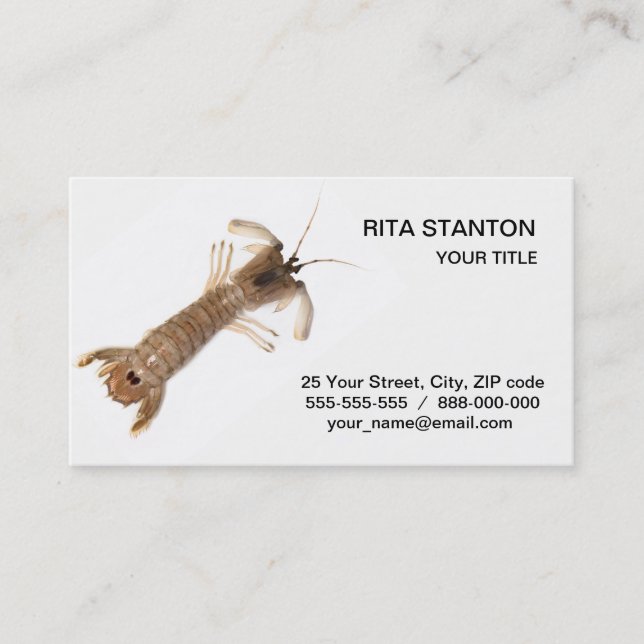 Tarjeta De Visita Langoustina (Anverso)