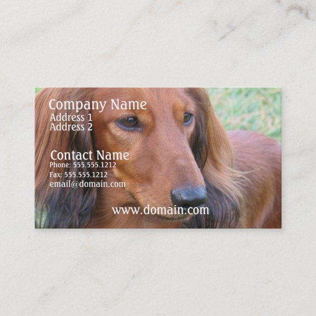 Tarjeta de visita larga del Dachshund del pelo (Anverso)