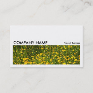 Tarjeta De Visita Larga imagen 0213 - Cama de margaritas amarillas