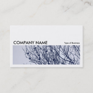 Tarjeta De Visita Larga imagen 0260 - Starlings in a Tree