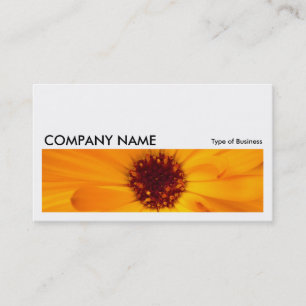 Tarjeta De Visita Larga imagen 038 - Naranja Marigold