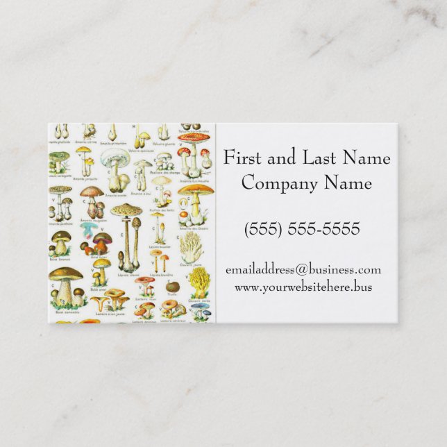 Tarjeta De Visita Larousse Mushroom Fungus Naturaleza Art Pintura (Anverso)