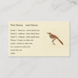 Tarjeta De Visita Las Aves de Nueva York, las Arañas Marrones o Marr