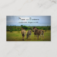 Las cebras africanas en un entorno natural