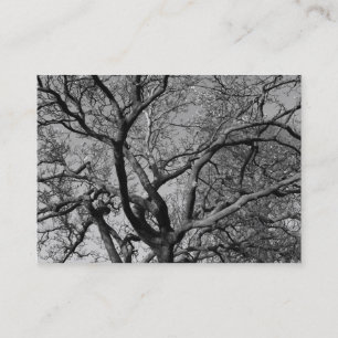 Tarjeta De Visita Las ramas de Magnolia en la primavera temprana