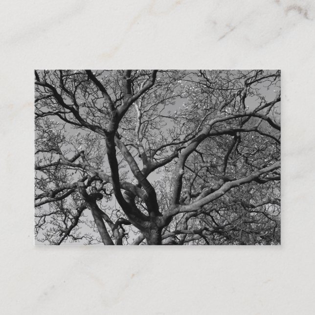 Tarjeta De Visita Las ramas de Magnolia en la primavera temprana (Anverso)