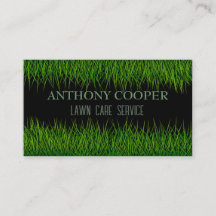 Lawn care lawnscaper