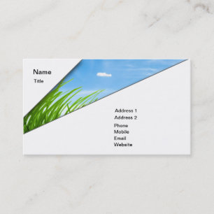 Tarjeta De Visita Lawncare