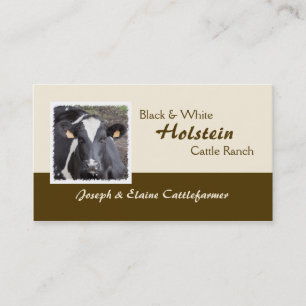 Tarjeta De Visita Lechería de Holstein o foto de los ganados vacuno