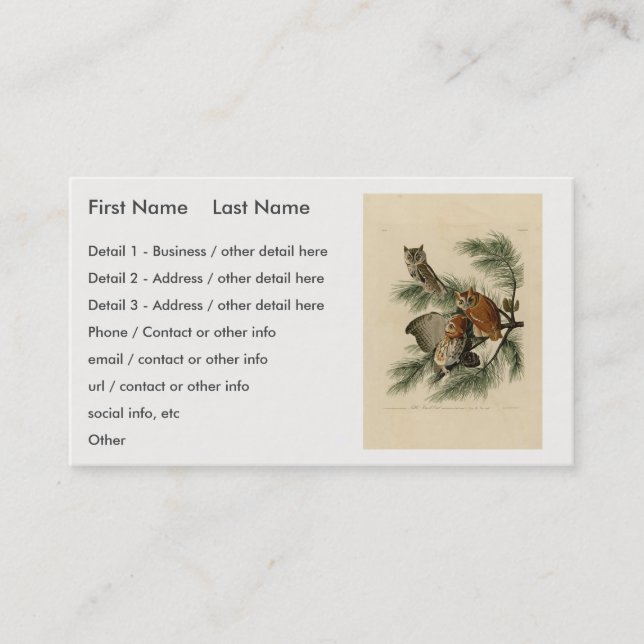 Tarjeta De Visita Lechuza de pequeño grito de los pájaros de América (Anverso)