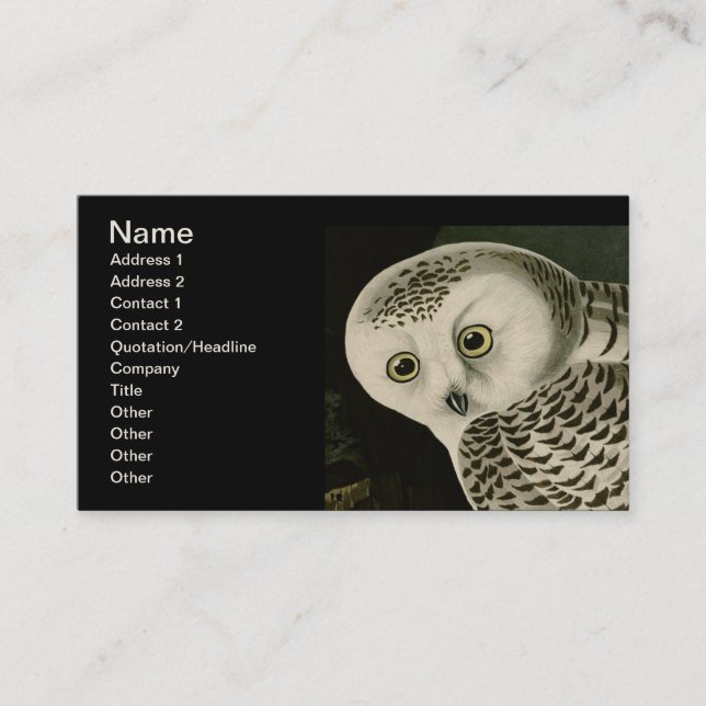 Tarjeta De Visita Lechuza Snowy - Aves finas y antiguas de Audubon,  (Anverso)