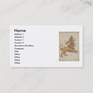 Tarjeta De Visita Leo Business Card